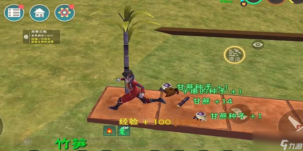 创造与魔法竹笋位置在哪里